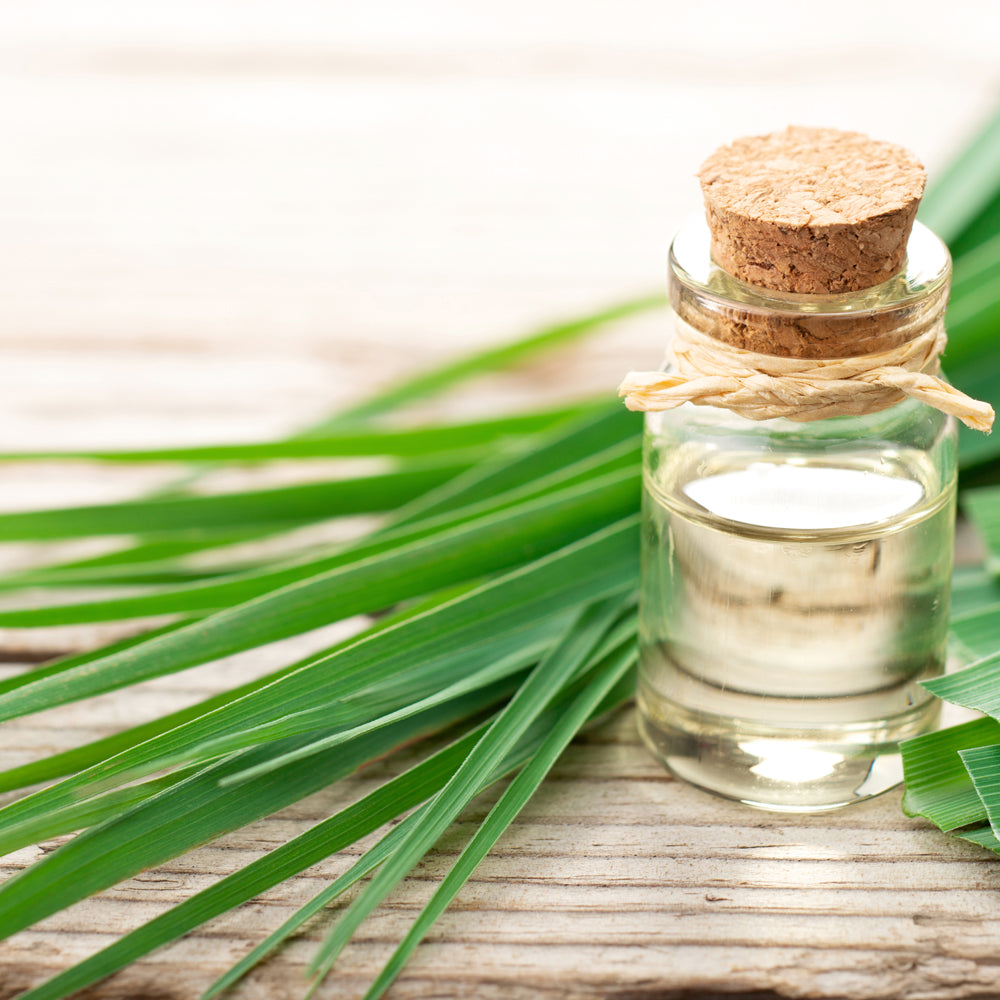Natural Ingredients - Lemongrass Essential Oil