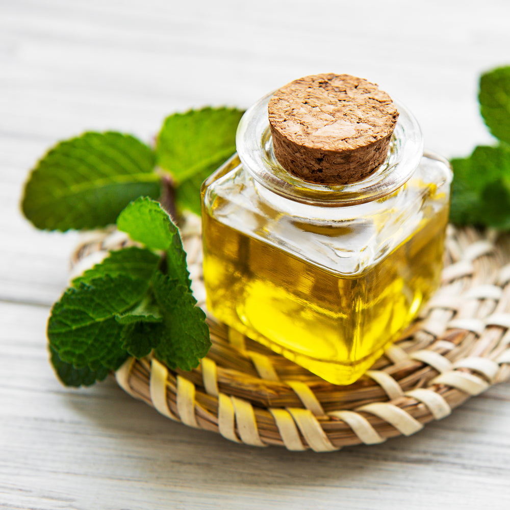 Natural Ingredients - Mint Essential Oil