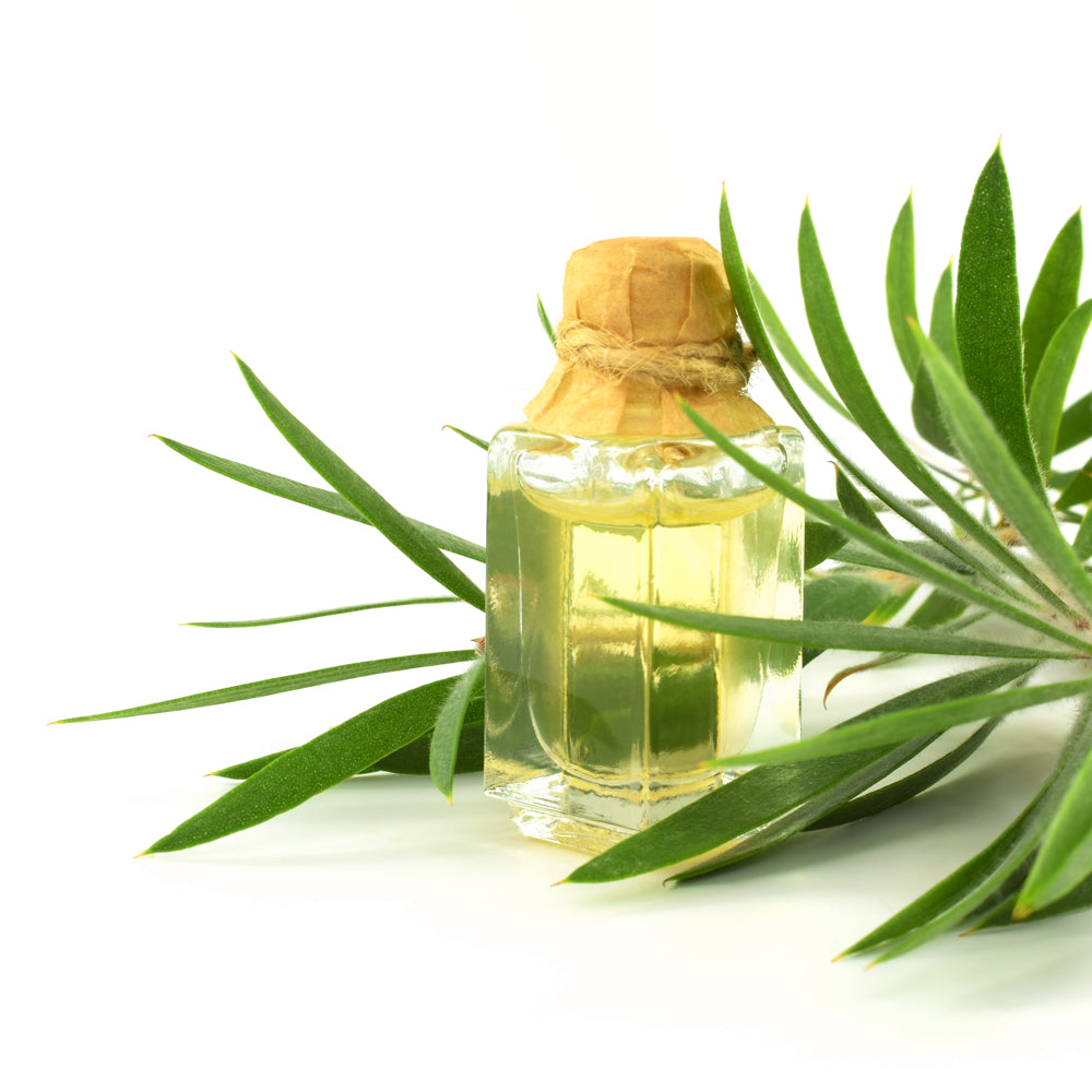 Natural Ingredients - Tea Tree Oil