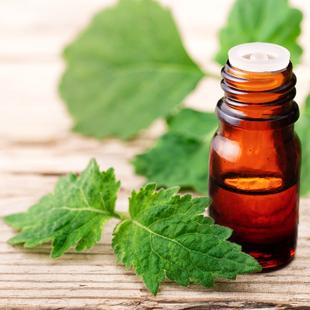 Natural Ingredients - Patchouli Essential Oil